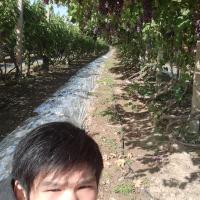 /photo/624513/生活照/2011-09-19 12.17.14_1_3_small.jpg